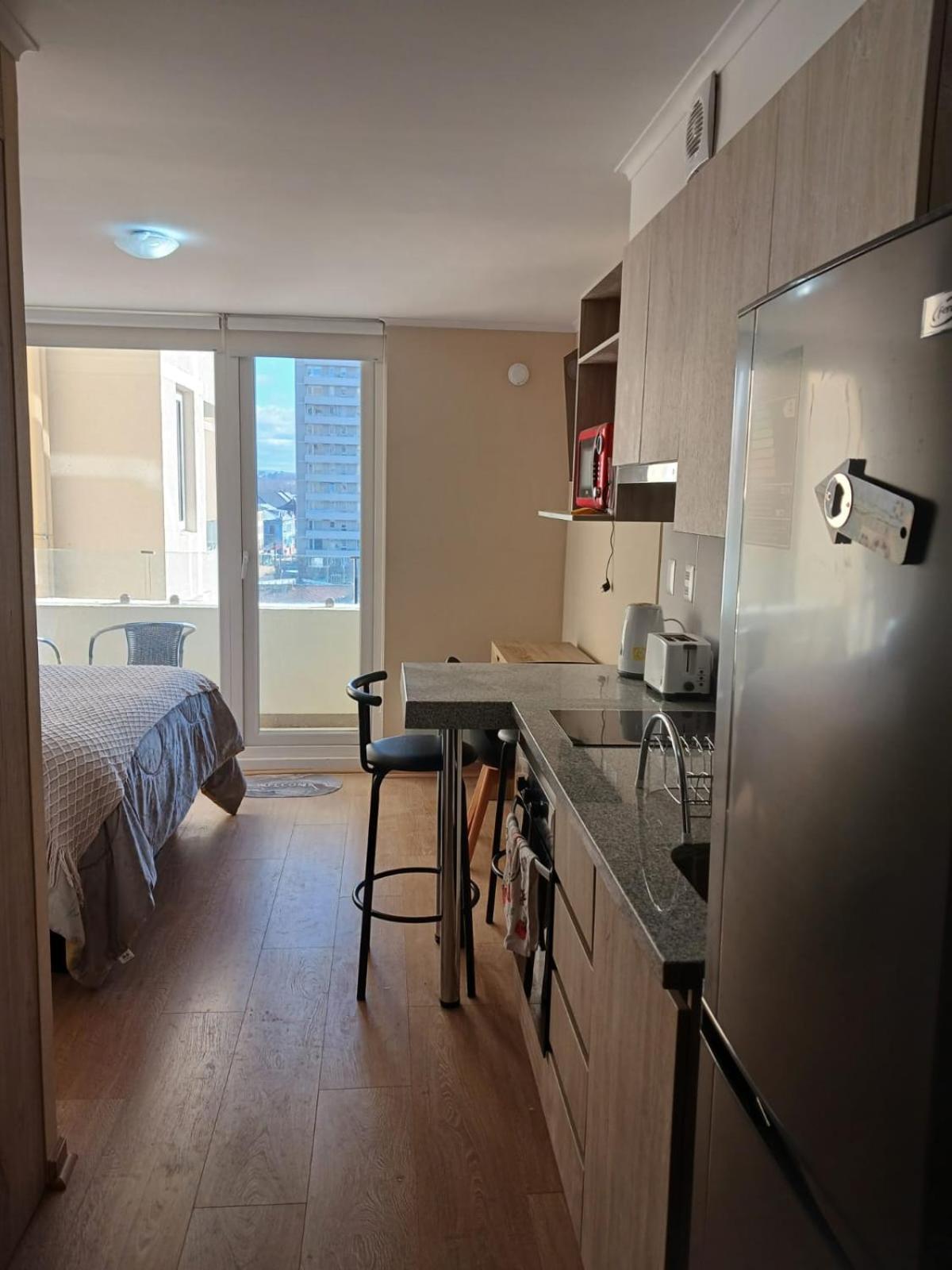 Apartment Departamento Centro